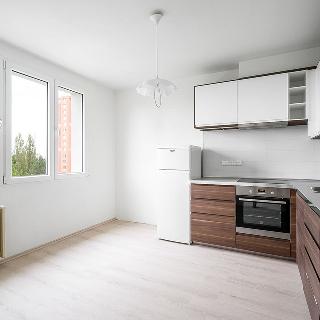 Pronájem bytu 1+1 36 m² Plzeň