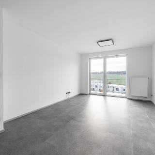 Prodej bytu 2+kk 66 m² Plzeň, Rubínová