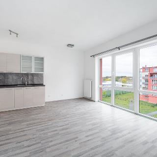 Pronájem bytu 2+kk 51 m² Plzeň, U Borských kasáren