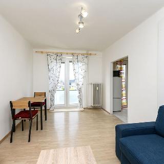 Pronájem bytu 2+1 46 m² Plzeň, Zahradní