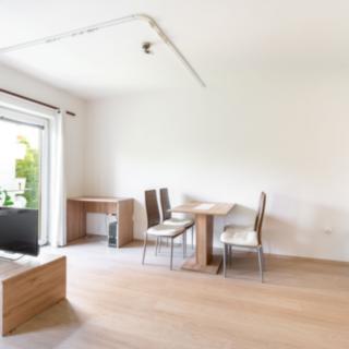 Pronájem bytu 1+kk a garsoniéry 34 m² Plzeň Východní Předměstí, Guldenerova
