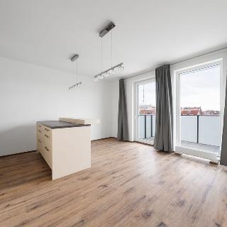 Pronájem bytu 2+kk 56 m² Plzeň, Kollárova