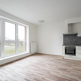 Pronájem bytu 1+kk, garsoniery 35 m&sup2; Plzeň