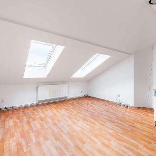 Pronájem bytu 1+1 37 m² Přeštice, Masarykovo nám.