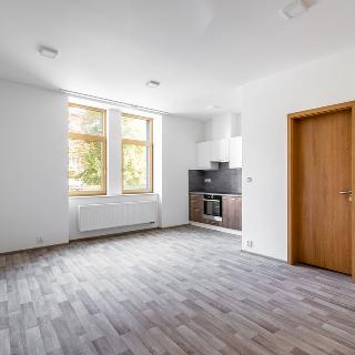 Pronájem bytu 1+kk a garsoniéry 34 m² Plzeň, Radyňská