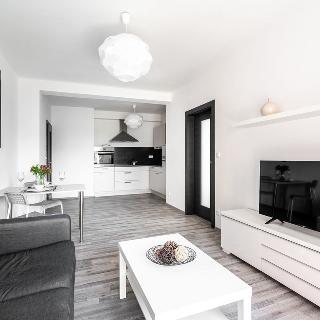 Pronájem bytu 2+kk 53 m² Plzeň, U Borských kasáren