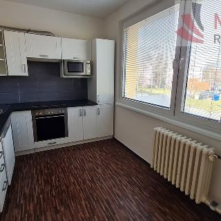 Pronájem bytu 3+1 65 m² Choceň, Podhomolí