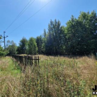Prodej zahrady 1000 m² Ledce