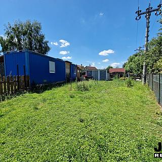 Pronájem zahrady 130 m² Havraň