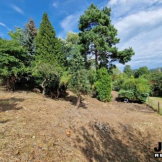 Prodej zahrady 630 m² Jílové