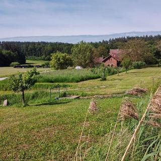 Prodej stavební parcely 1 200 m² Ostružno