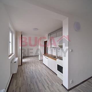 Pronájem bytu 1+1 52 m&sup2; Kamenný Újezd