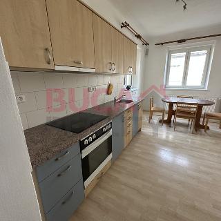 Pronájem dvougeneračního domu 100 m² České Budějovice, Bořivojova