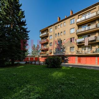 Prodej bytu 3+1 84 m² Písek, Budovatelská