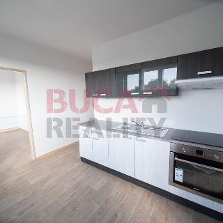 Pronájem bytu 3+1 61 m² Dráchov