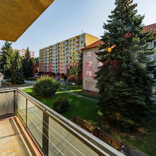 Prodej bytu 3+1 84 m² Písek, Budovatelská