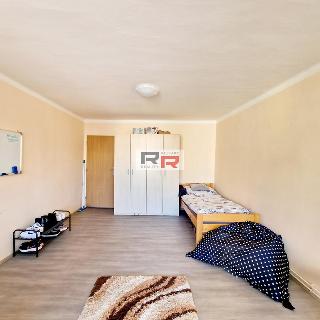 Pronájem pokoje 24 m² Olomouc, 8. května