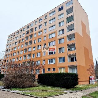 Pronájem bytu 1+1 35 m² Olomouc, Zikova