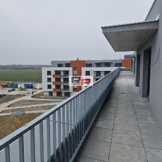 Prodej bytu 2+kk 57 m² Olomouc, Aloise Rašína