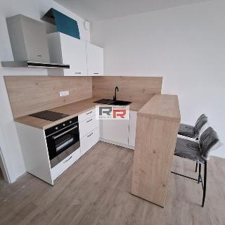 Pronájem bytu 1+kk a garsoniéry 35 m² Olomouc, Aloise Rašína