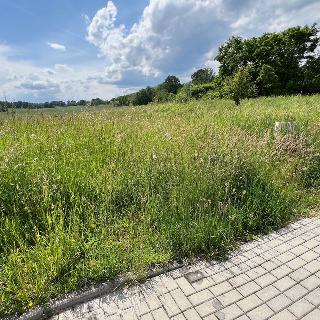 Prodej stavební parcely 777 m² Kamenný Újezd, Plavská