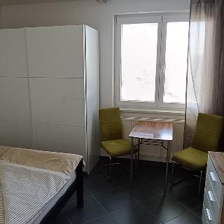 Pronájem bytu 1+kk a garsoniéry 35 m² České Budějovice, U Smaltovny