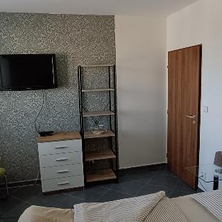 Pronájem bytu 1+kk a garsoniéry 35 m² České Budějovice, U Smaltovny