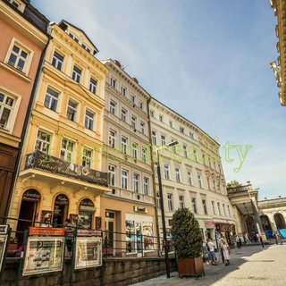 Prodej dvougeneračního domu 350 m² Karlovy Vary, Lázeňská