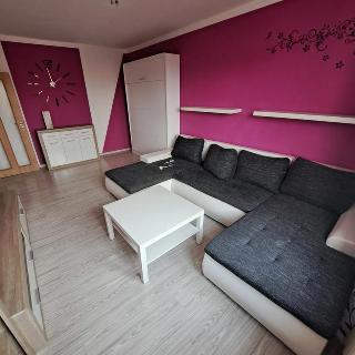 Pronájem bytu 2+1 49 m² Kopřivnice, Francouzská