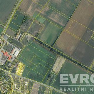 Prodej zahrady 5400 m² Pasohlávky