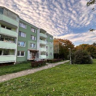 Prodej bytu 3+1 78 m² Přerov, Želatovská