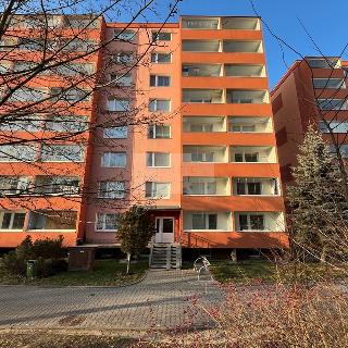 Pronájem bytu 3+1 72 m² Hranice, Nová