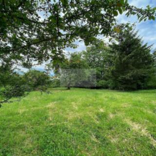 Pronájem zahrady 4026 m² Brandýs nad Labem-Stará Boleslav