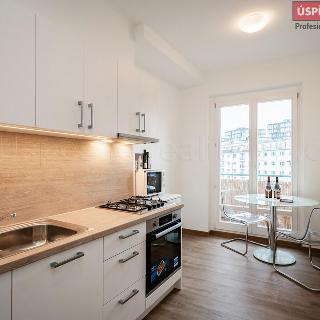 Prodej bytu 1+kk a garsoniéry 48 m² Praha, Malešická