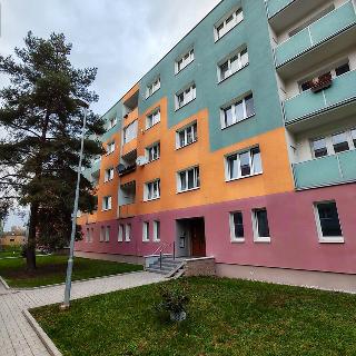 Pronájem bytu 3+1 70 m² Duchcov, V Domkách