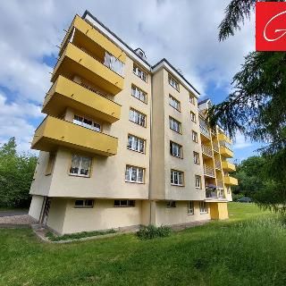 Pronájem bytu 2+1 40 m² Teplice, Březová