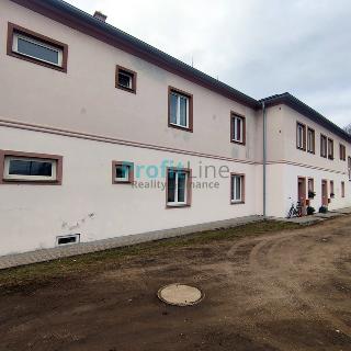 Pronájem bytu 2+1 60 m² Zábřeh, U Nádraží