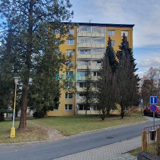 Pronájem bytu 3+1 74 m² Zábřeh, Jana Welzla