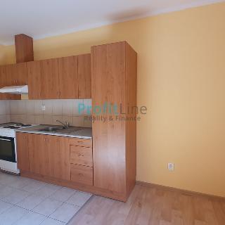 Pronájem bytu 1+kk a garsoniéry 38 m² Zábřeh, Sušilova