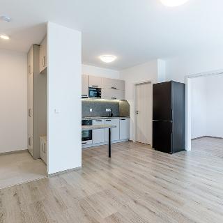 Pronájem bytu 2+kk 40 m² Slaný