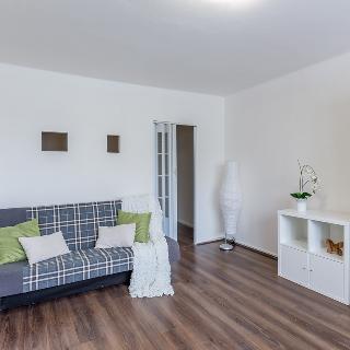 Prodej bytu 1+1 36 m² Meziboří, Májová