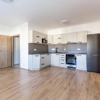 Pronájem bytu 3+kk 63 m² Slaný