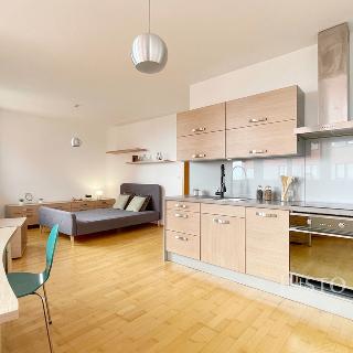 Pronájem bytu 1+kk a garsoniéry 35 m² Praha, Tlumačovská