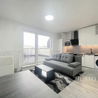 Pronájem bytu 1+kk a garsoniéry 26 m² České Budějovice, Vrbenská