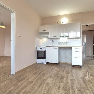 Pronájem bytu 1+1 39 m² Písek, Budovatelská