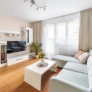 Pronájem bytu 3+kk 51 m² České Budějovice, Mánesova