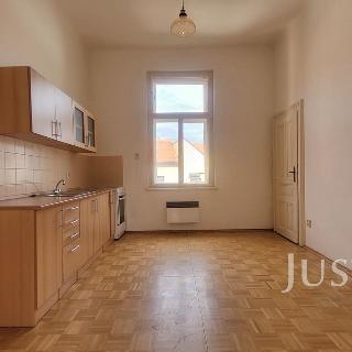 Pronájem bytu 1+1 66 m² Písek, Chelčického