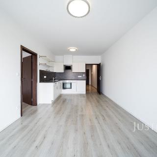 Prodej bytu 2+kk 49 m² České Budějovice, Riegrova