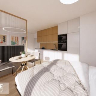 Prodej bytu 1+kk a garsoniéry 30 m² Praha Vysočany, Pod Harfou