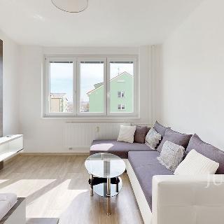 Pronájem bytu 1+1 31 m² České Budějovice, Dubenská